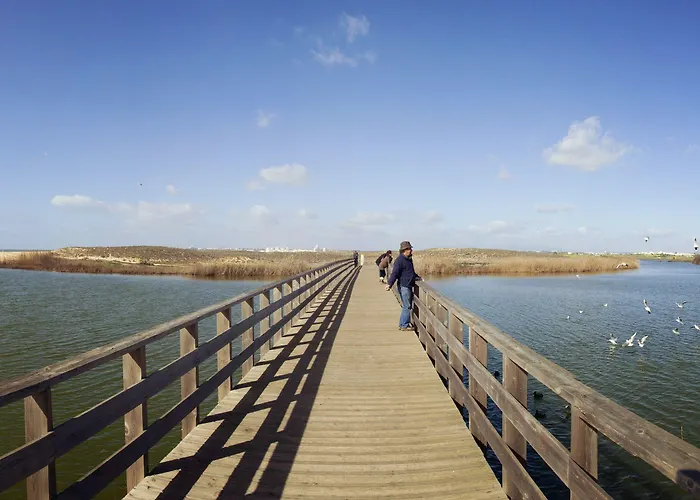 Bayside Salgados אלבופיירה